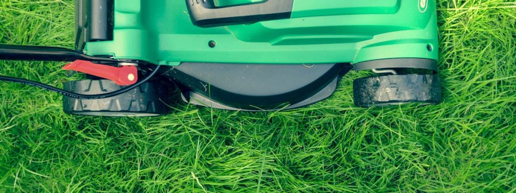 love-cutting-the-grass-this-autumn